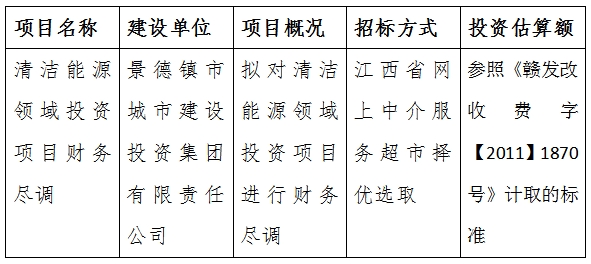 清潔能源領(lǐng)域投資項(xiàng)目財務(wù)盡調(diào)計劃公告