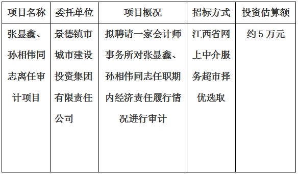 張顯鑫、孫相偉同志離任審計項目計劃公告