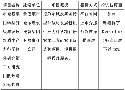 市城投集團(tuán)轉(zhuǎn)型升級與發(fā)展新質(zhì)生產(chǎn)力科學(xué)路徑研究第三方研究團(tuán)隊(duì)選聘招標(biāo)代理計(jì)劃公告