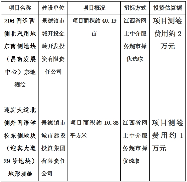 景德鎮(zhèn)市206國道西側(cè)北汽用地東南側(cè)地塊（昌南發(fā)展中心）宗地測繪項目及迎賓大道北側(cè)外國語學(xué)校東側(cè)地塊（迎賓大道29號地塊）地形測繪項目計劃公告